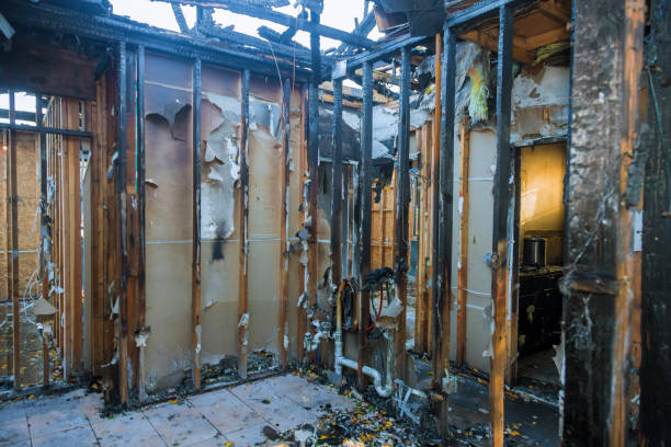Professional Fire Damage Repair technician working in Shawneetown, IL